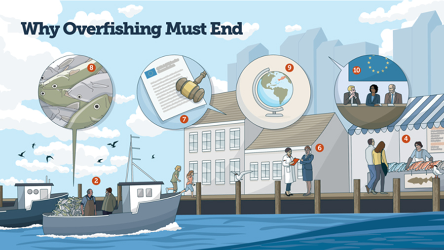 Why overfishing must end graphic