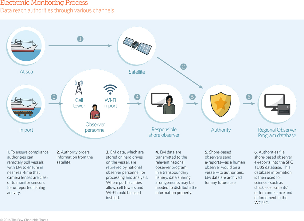 Electronic Monitoring/Reporting graphic