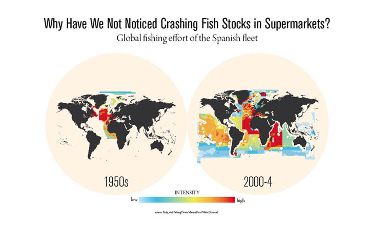Why Have We Not Noticed Crashing Fish Stocks in Supermarkets?