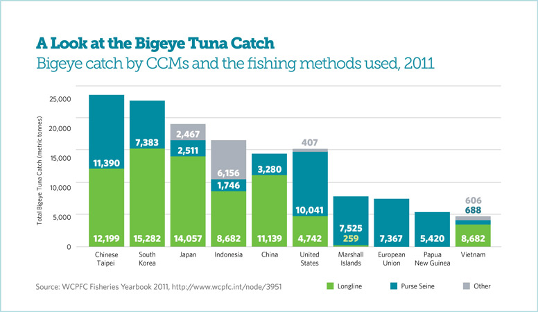 A Look at the Bigeye Tuna Catch