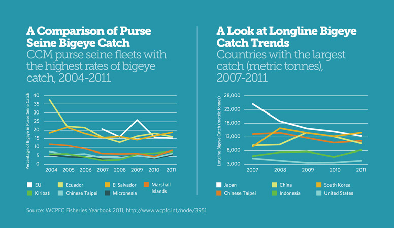 Bigeye Catch Trends