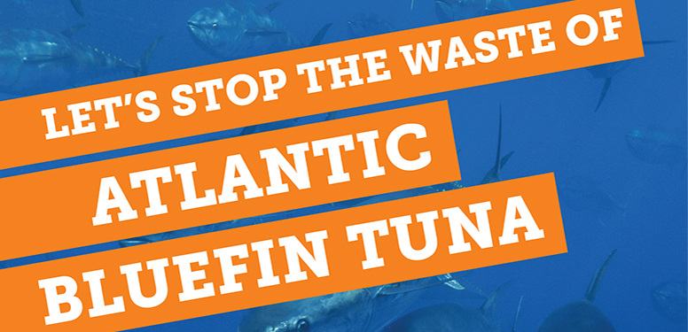 Let's Stop the Waste of Atlantic Bluefin Tuna