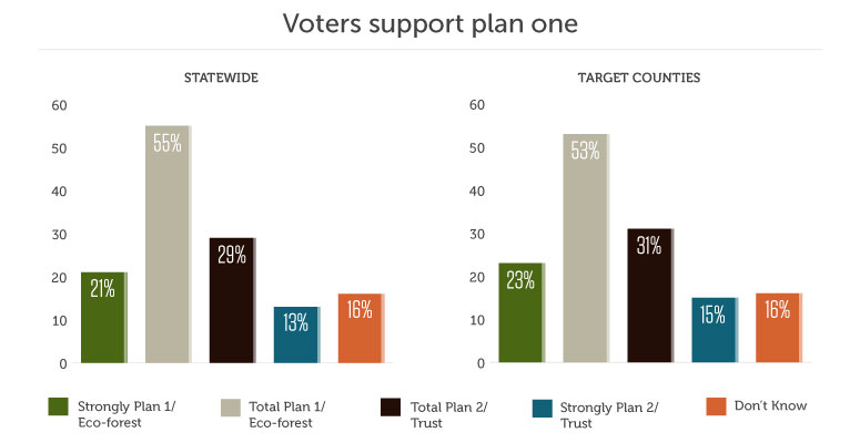Voters support plan one