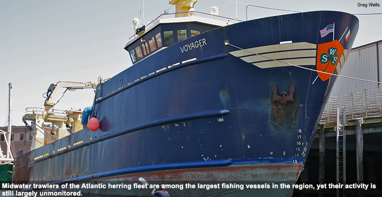 Midwater trawlers of the Atlantic herring fleet are among the largest fishing vessels in the region, yet their activity is still largely unmonitored.