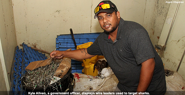 Kyle Aliven, a government officer, displays wire leaders used to target sharks.