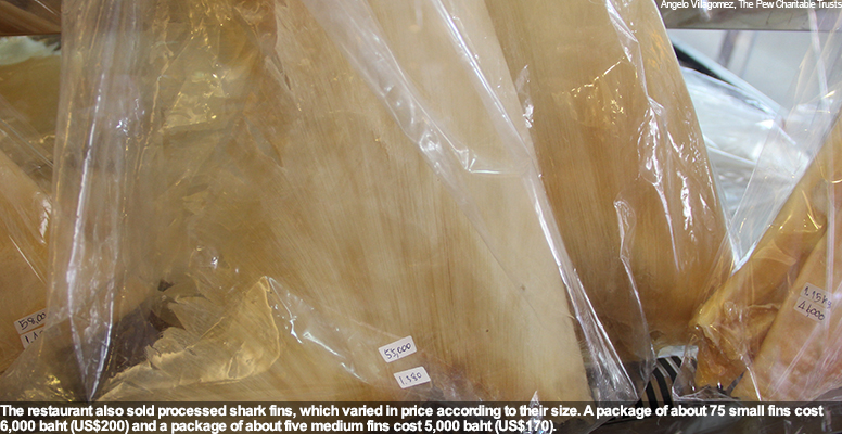 Processed shark fins for sale