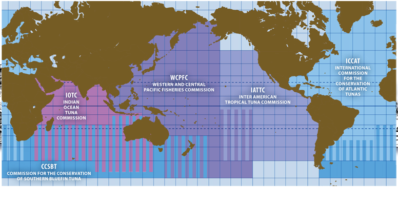 Major Fisheries Of The World Chart