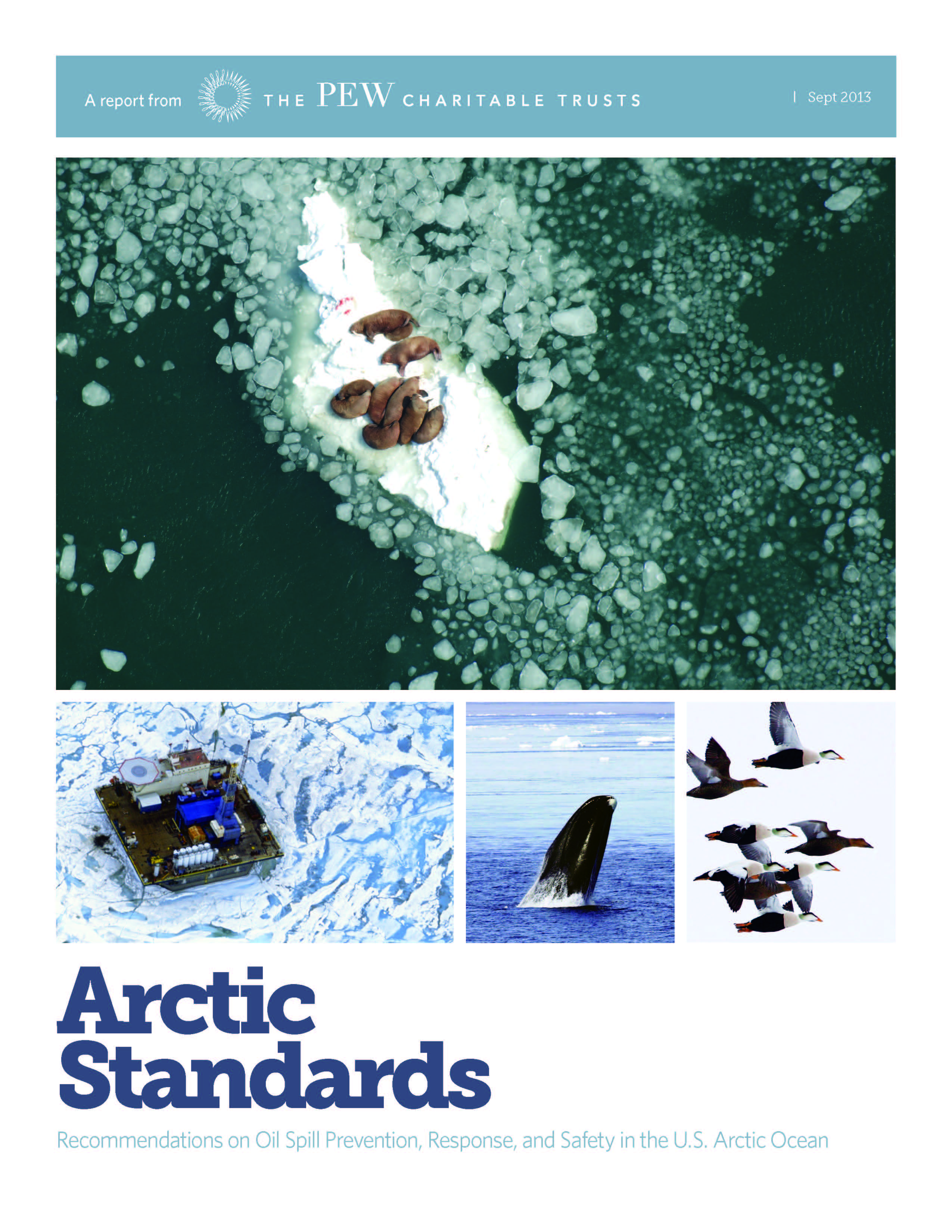 Arctic Standards Report (PDF)