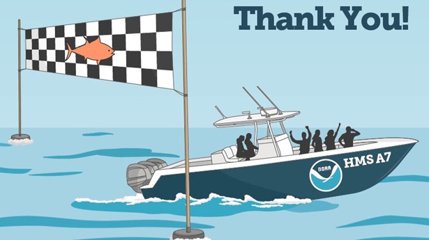 bluefin thank you boat