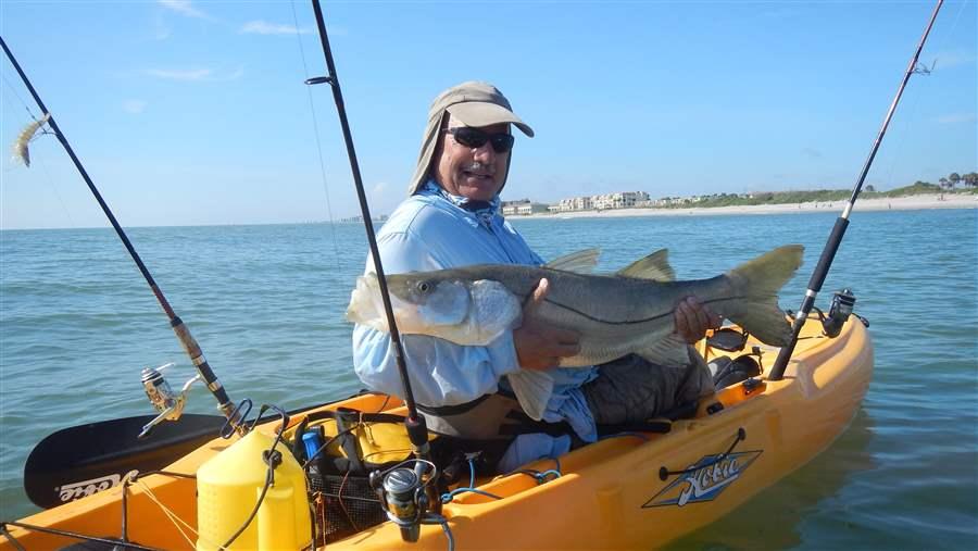 Mitch Roffer, Ph.D., shares his kayak with a big common snook that he caught off the Space Coast in East Central Florida. Snook are endemic only to Florida and southeastern Texas in the United States. This species is one of the most targeted by anglers. Adult snook feed primarily on baitfish, also known as forage fish.