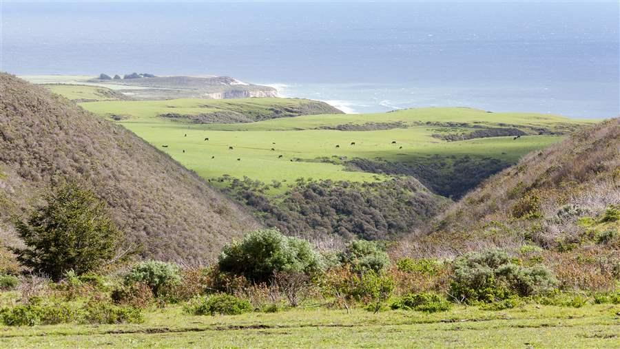 California coastal