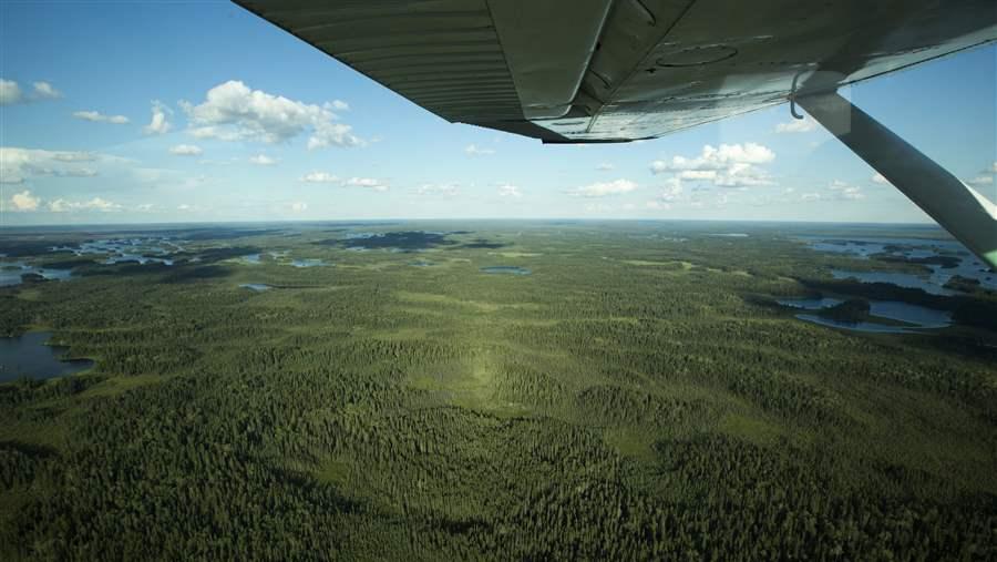 The Boreal stores 208 billion metric tons of carbon