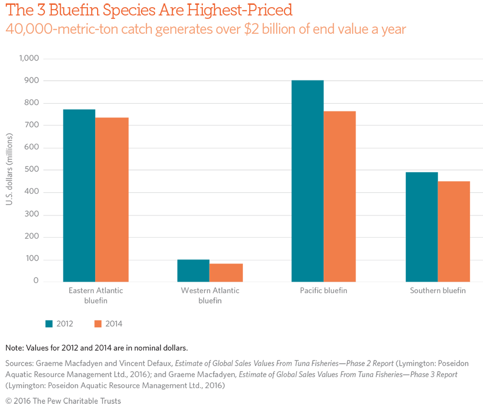 The 3 Bluefin Species Are Highest-Priced
