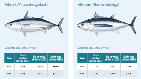 Global Tuna Landings and Values by Species