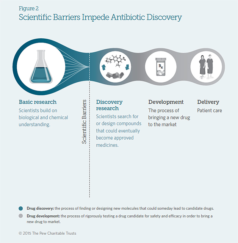 Antibiotics infographic