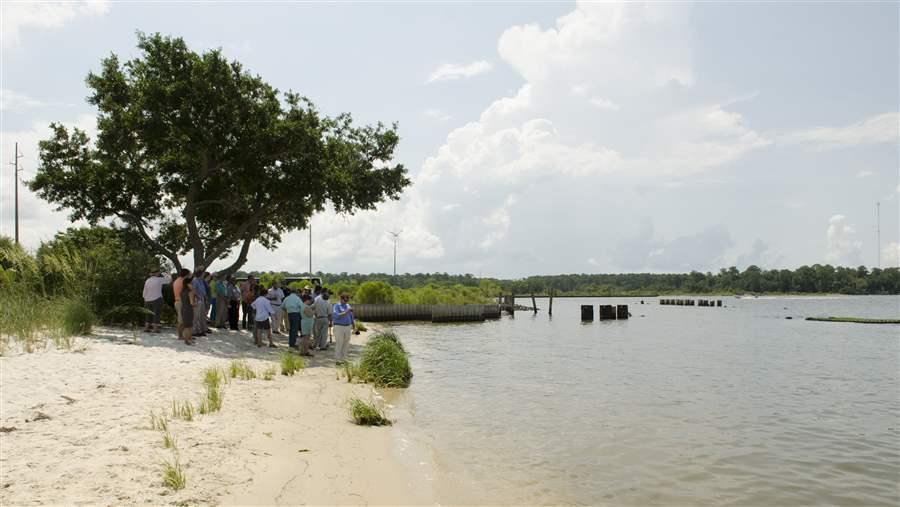 Living shorelines