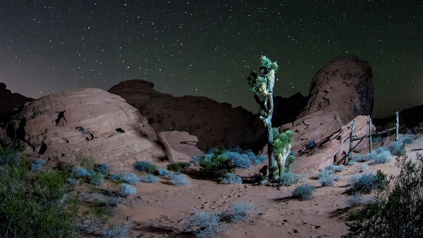 Gold Butte