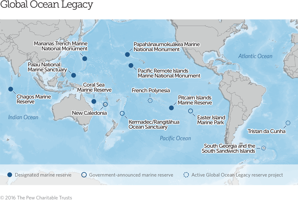 Global ocean legacy