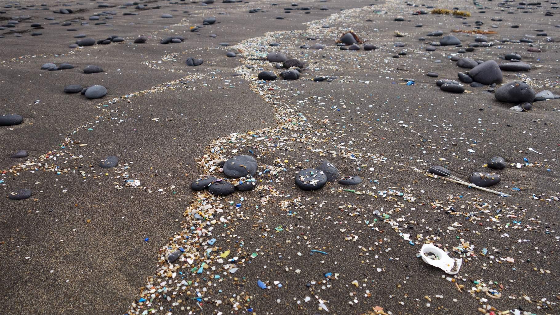 Spain, Canary Islands, Lanzarote, Playa Famara, microplastics, washed up on dark lava sand