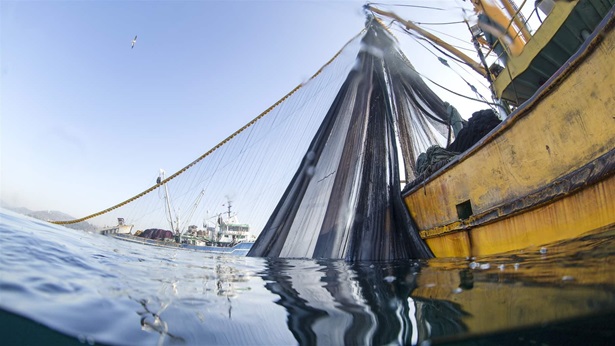 Harmful subsidies that governments pay to commercial fishing operators are one of the key drivers of overfishing. A long-awaited World Trade Organization agreement aims to tackle the problem and help ensure fisheries’ sustainability. 