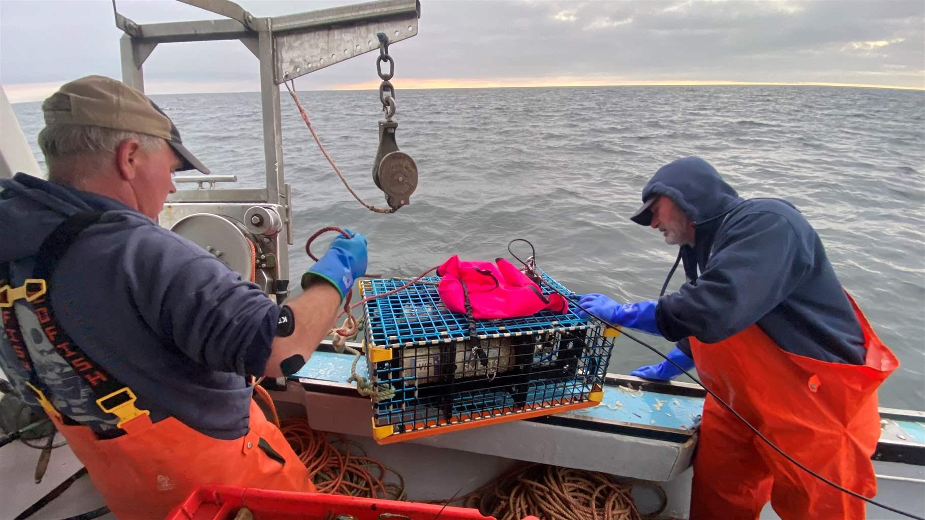 Two men on the back deck of a fishing boat prepare a cage containing an on-demand fishing system -- a pink inflatable lift bag and a canister of air -- which is attached to a string of lobster pots that follows it.
