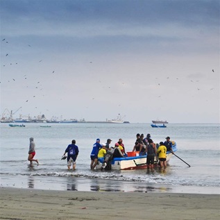 Sixteen fishers arrive on a sandy beach in small, open boats of blue, white and red. The ocean water is calm, several small artisanal vessels are offshore, and a large industrial port is in the background. Birds fly overhead in a blue sky with white clouds. 