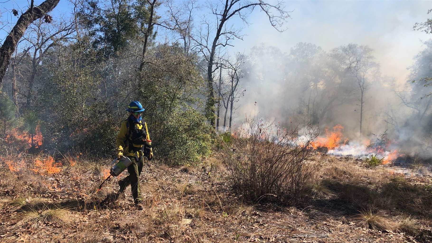 A person in a hard hat and other protective gear walks through a patch of brown, scrubby land with small fires burning behind them. Some small brush and taller trees are visible as well.  