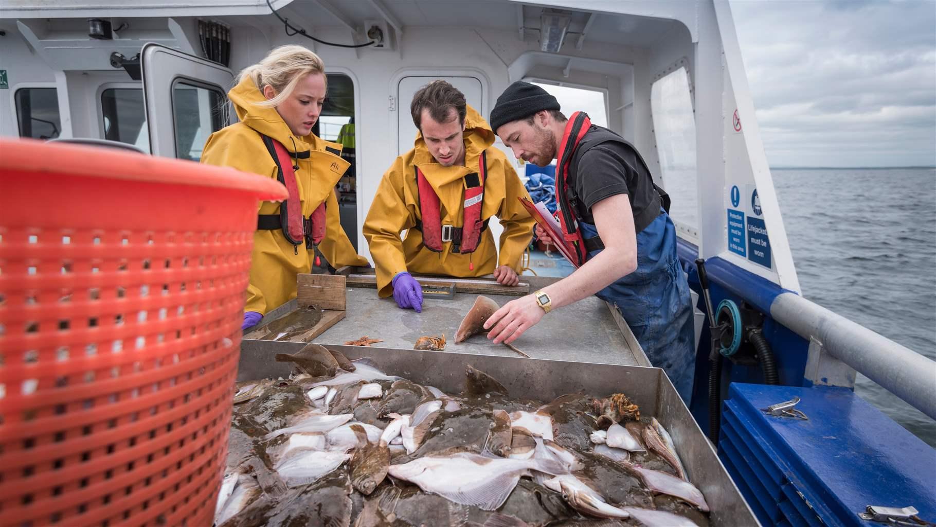 Three people, dressed in yellow, black, red and blue rain gear, stand on the deck of a white and blue boat and examine a fish on a table. A pile of fish is in a metal bin in the foreground.