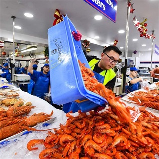 A worker in a seafood market dumps bright orange shrimp from a blue bin onto a bed of ice between a lot of other seafood laid out for sale. Other workers are visible in the background, as are the arms of shoppers placing orders from the other side of the ice bed.