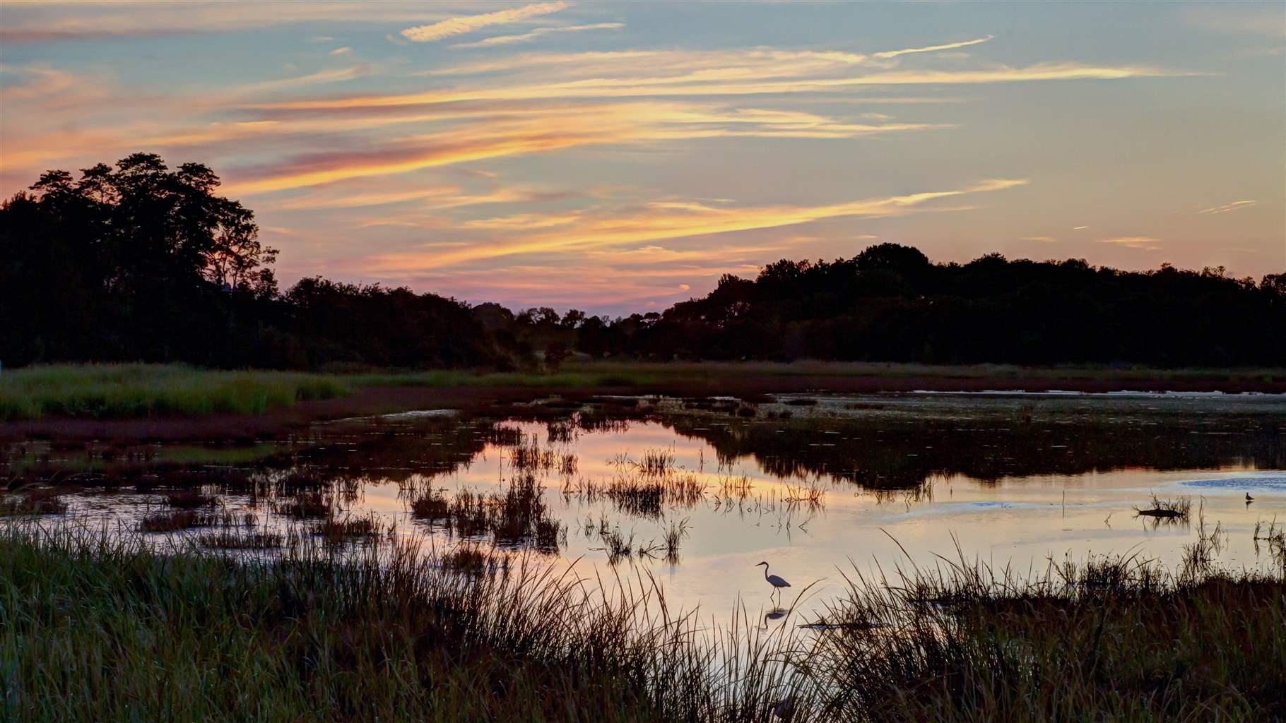 Still waters reflect the orange-tinged hues of a setting sun. Tall grasses hug the water’s edge, with trees visible in the distance and an expansive sky streaked with clouds framing the scene. 