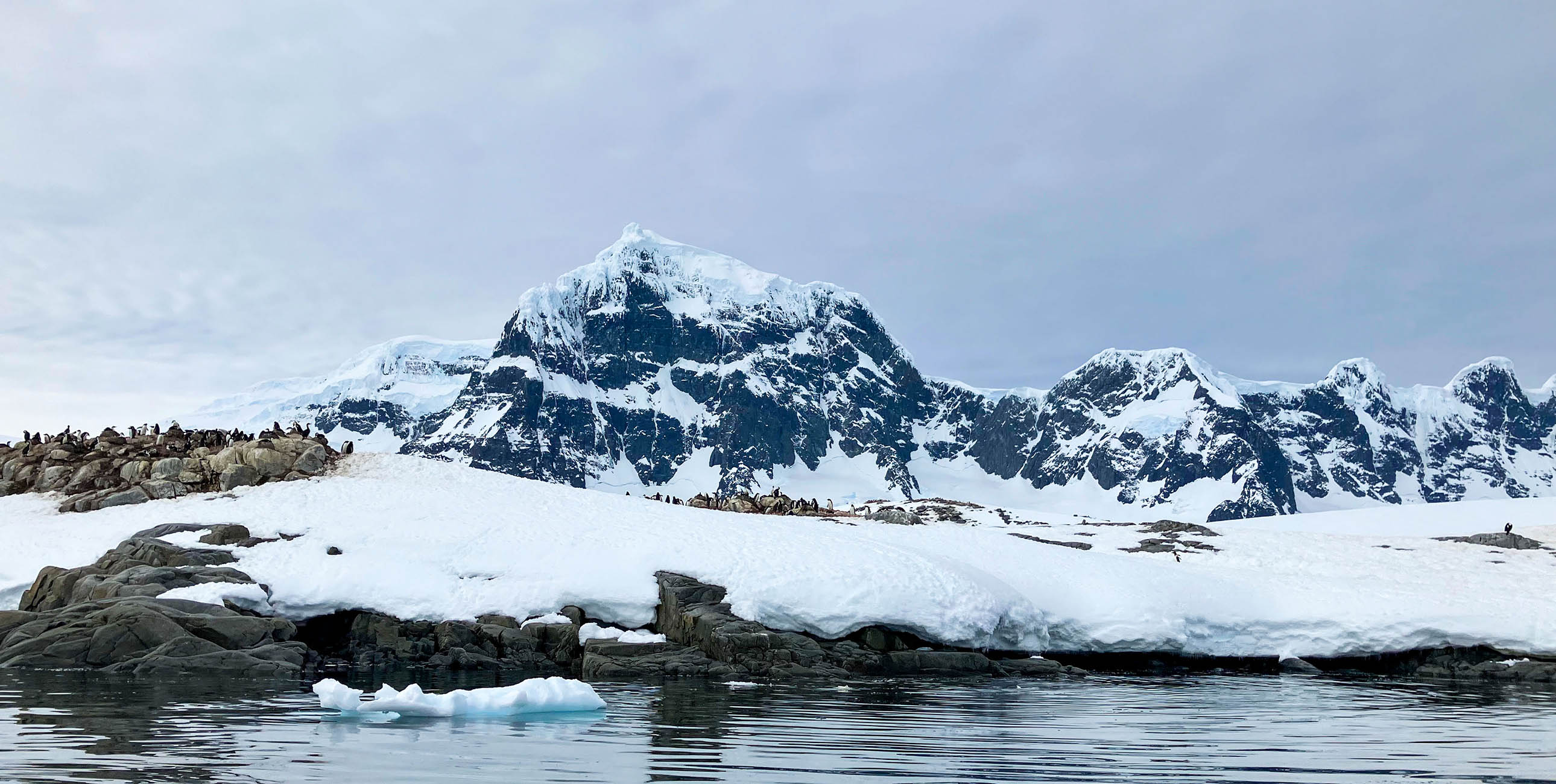 Pew's Nichola Clark wears thick winter gear on a snow-covered shoreline with penguins in the background.