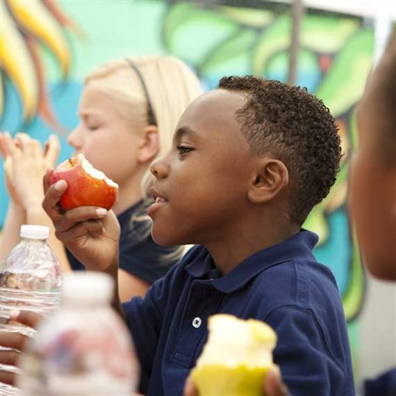 Healthy School Lunches Can Reduce Childhood Obesity and Diabetes