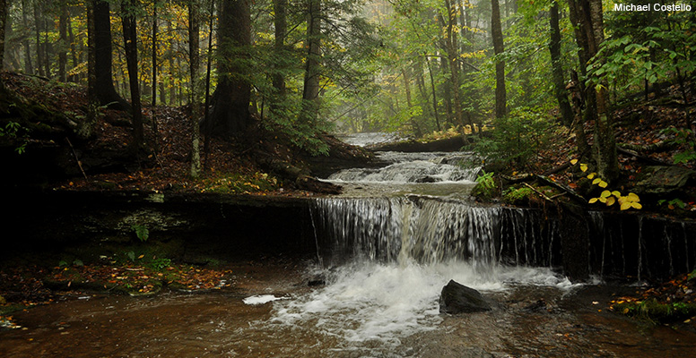 Wilderness Programs In Virginia