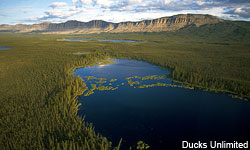 Boreal Lake