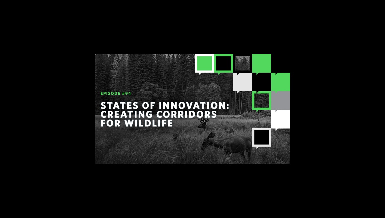 States of Innovation: Creating Corridors for Wildlife