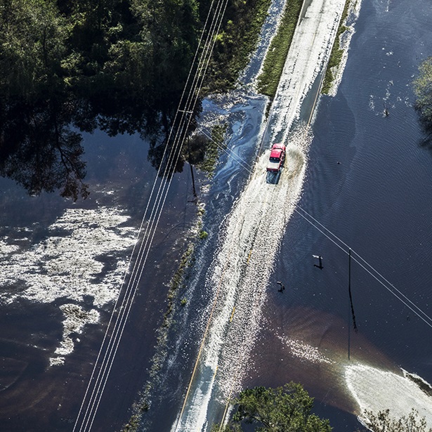 Natural Solutions for Natural Disasters