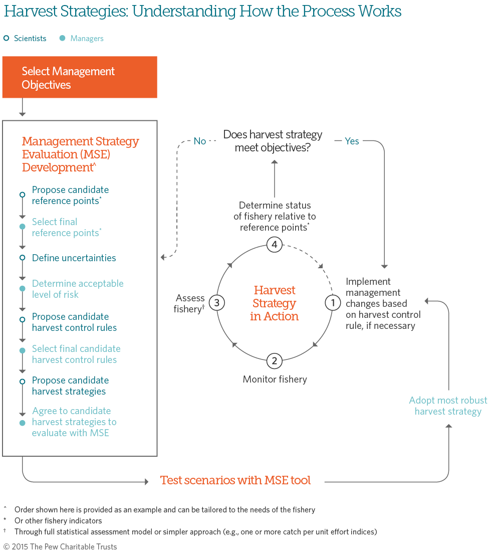 harvest strategies