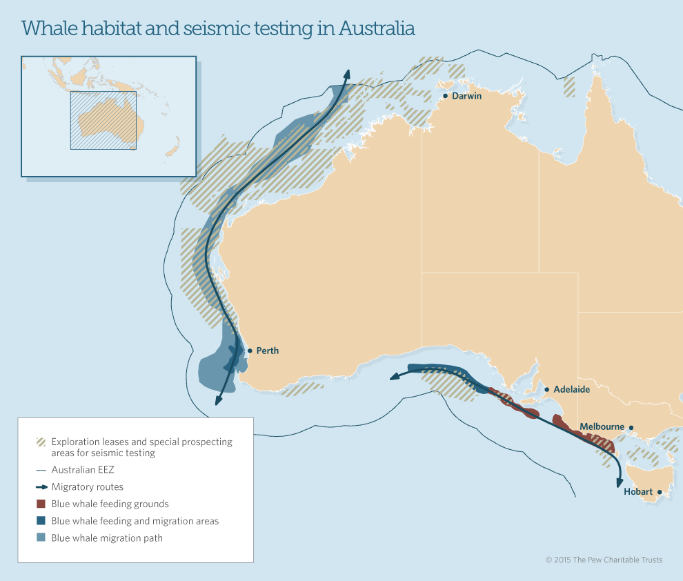 Whales_SeismicTesting