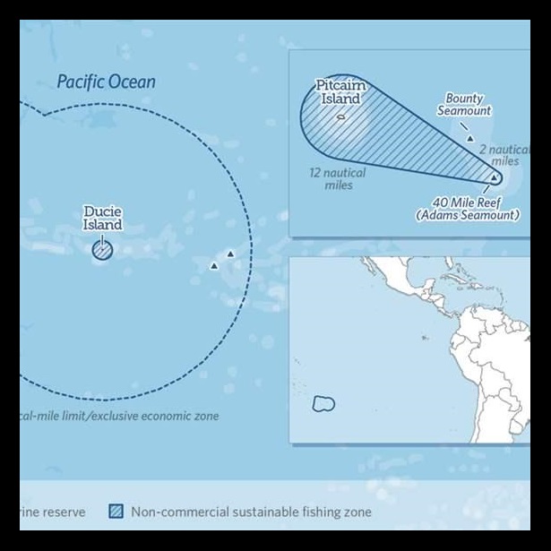 Pitcairn Marine Reserve