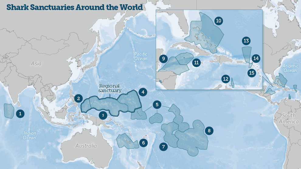 Shark sanctuaries around the world