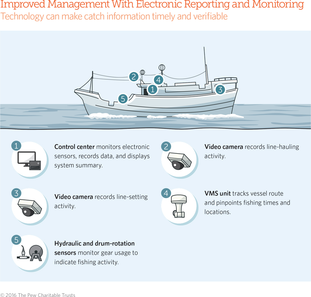Electronic Monitoring/Reporting graphic