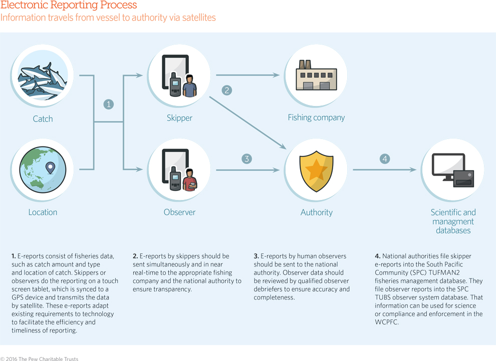 Electronic Monitoring/Reporting graphic