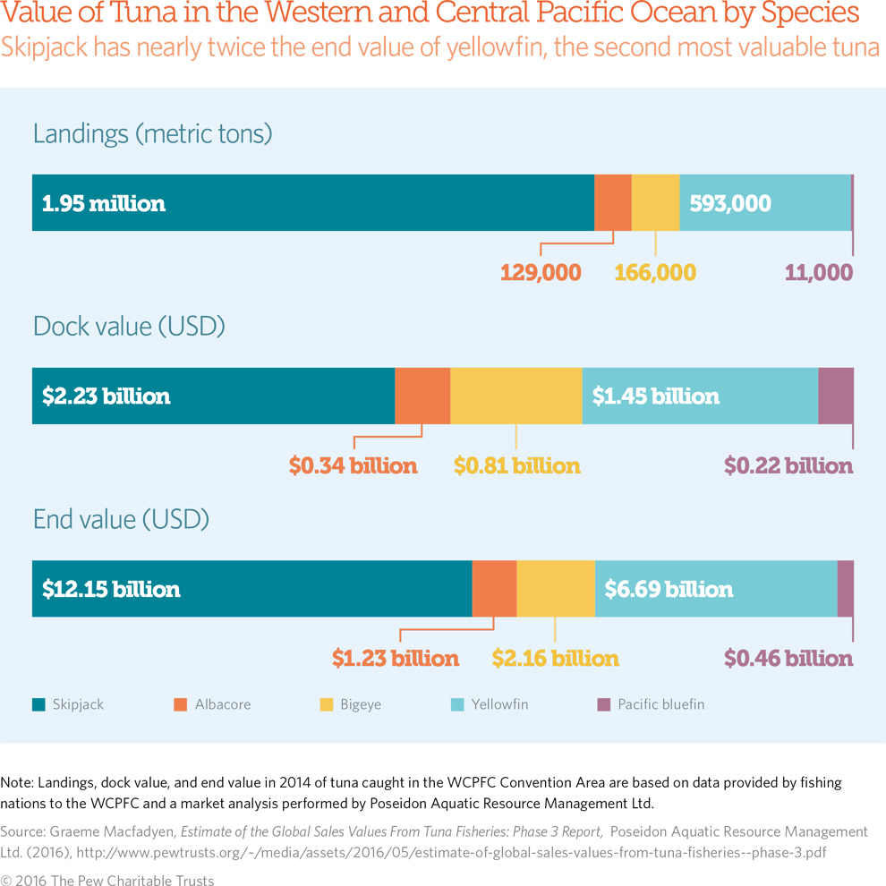 tuna graphic