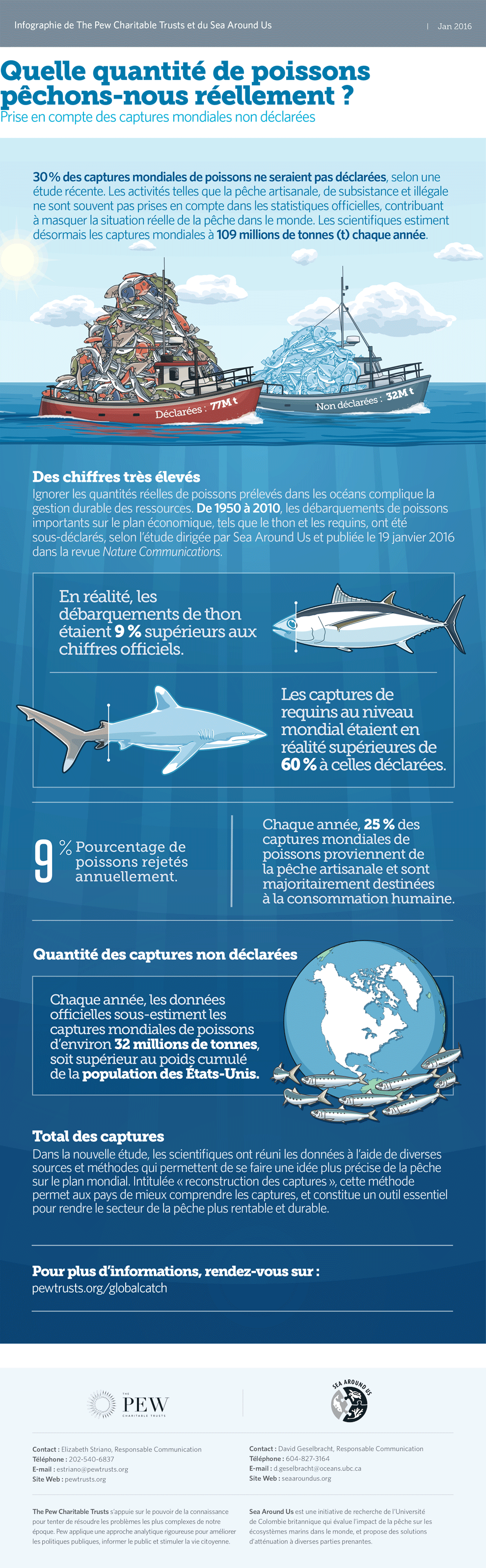 Quelle quantité de poissons pêchons-nous réellement ?