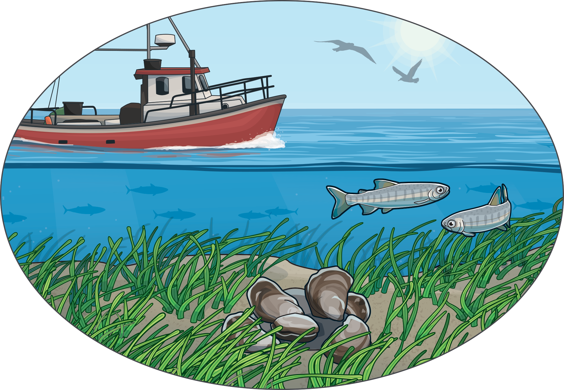 An illustration of a fishing boat and fish swimming under the water