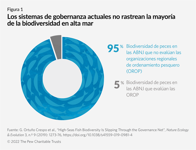 Los sistemas de gobernanza actuales no rastrean la mayoría de la biodiversidad en alta mar