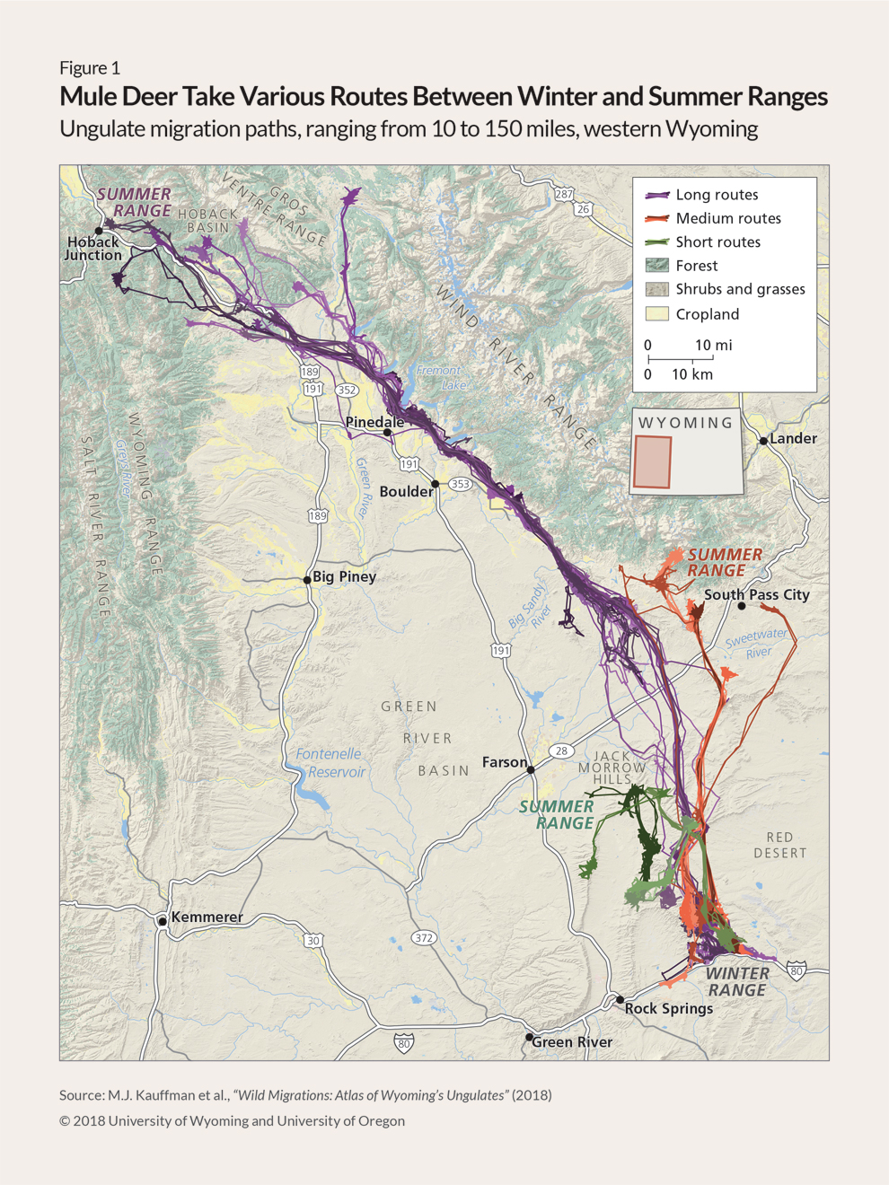 Map showing three paths—long, medium, and short—that mule deer take between their winter range in the Red Desert near Rock Springs, Wyoming, and three summer ranges. The long path, shown in purple, runs 150 miles to Hoback Rim, south of Jackson, Wyoming, with deer that follow this route dispersing to various areas around the high country in the Wind River and Wyoming Range mountains. The medium path, in orange, ends near South Pass City, and the short route, in green, leads to the southern end of the Wind River Range. 