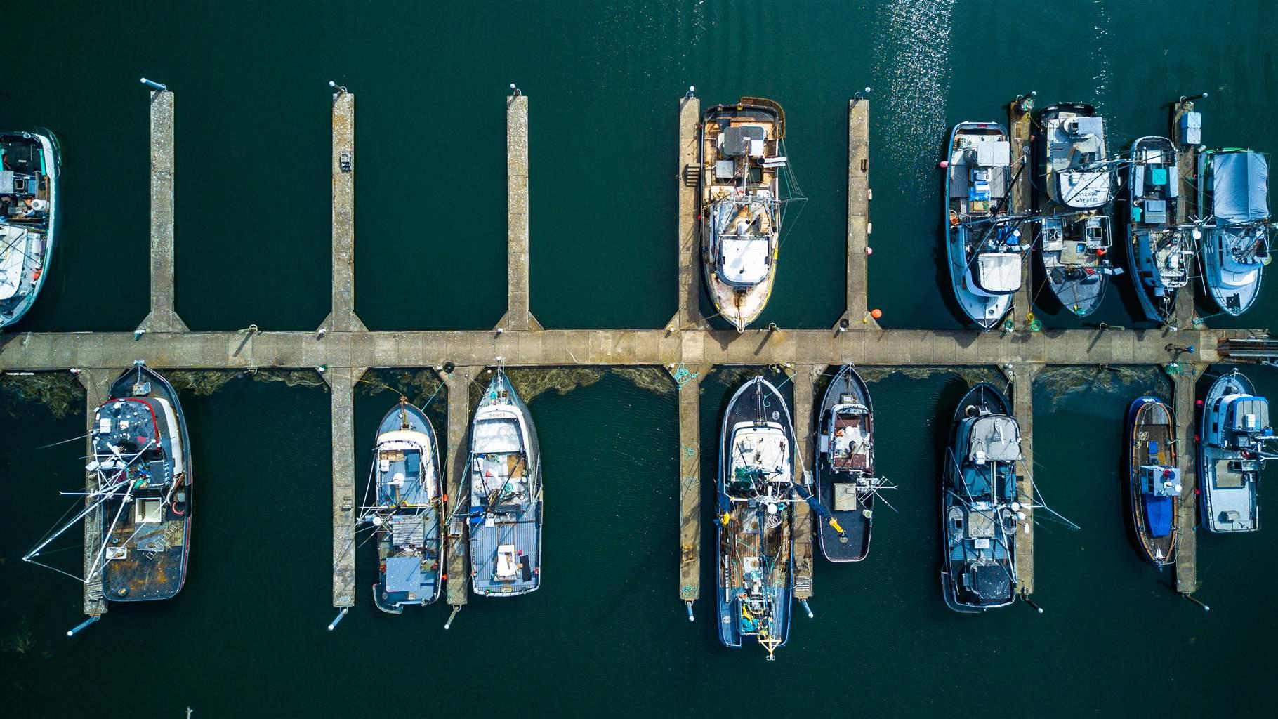  Fourteen blue and white fishing vessels are docked in blue green water, divided by tan walkways between them. 
