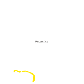 African penguin Map