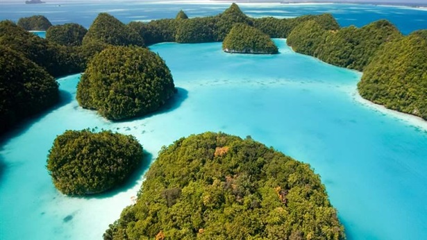 Global Ocean Legacy Palau